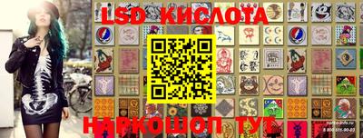 гидропоника Моздок