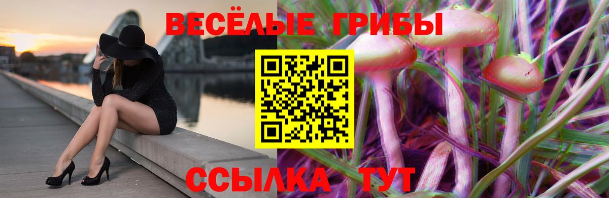 Шарыпово  Галлюциногенные грибы Psilocybine cubensis  Псилоцибиновые грибы Cubensis  Вход с VPN 